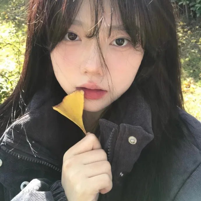米德尔马契
